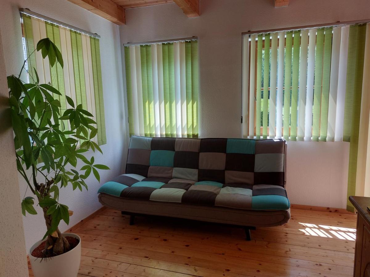 Grimmingapartment Maier Stainach Exterior foto